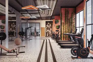 Gymnasium